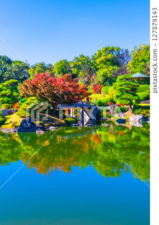 大仙公園日本花園的秋葉 大仙公園日本花園的秋葉 127879143