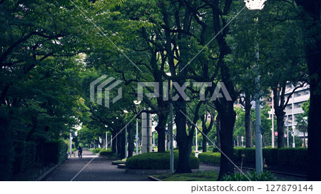 Rinko Park Promenade Chiba Minato 127879144