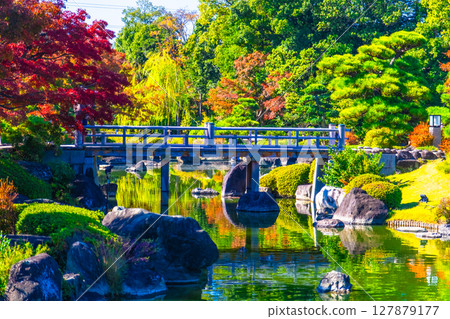 大仙公園日本花園的秋葉 大仙公園日本花園的秋葉 127879177