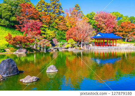 Autumn leaves at Daisen Park Japanese garden 127879180