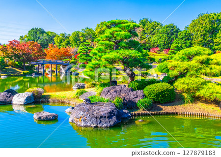 Autumn leaves at Daisen Park Japanese garden 127879183