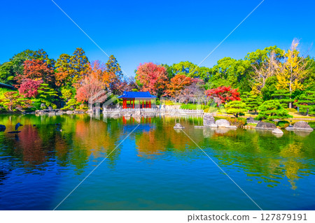 Autumn leaves at Daisen Park Japanese garden Autumn leaves at Daisen Park Japanese garden 127879191