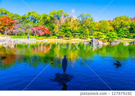 Autumn leaves at Daisen Park Japanese garden Autumn leaves at Daisen Park Japanese garden 127879192