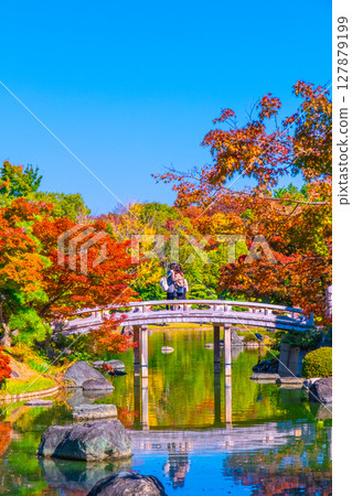 大仙公園日本花園的秋葉 大仙公園日本花園的秋葉 127879199