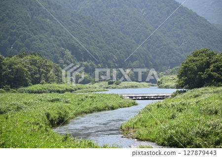 最後發現日本水獺的河流[新莊河] 127879443