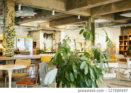 busan cafe busan cafe 127880497
