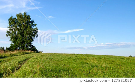 一片廣闊的草地,角落有一棵樹 一片廣闊的草地,角落有一棵樹 127881097