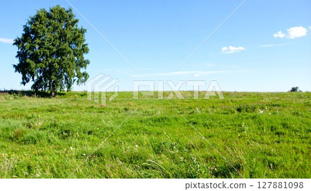 綠草藍天，廣闊的自然風光 127881098