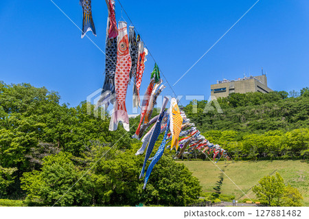 若宮公園:藍天下飄揚的鯉魚旗(神奈川縣厚木市) 若宮公園:藍天下飄揚的鯉魚旗(神奈川縣厚木市) 127881482