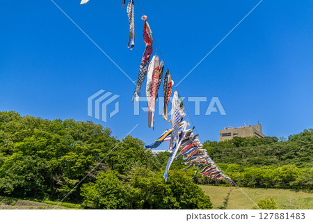 若宮公園:藍天下飄揚的鯉魚旗(神奈川縣厚木市) 若宮公園:藍天下飄揚的鯉魚旗(神奈川縣厚木市) 127881483