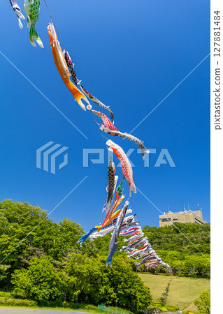 若宮公園:藍天下飄揚的鯉魚旗(神奈川縣厚木市) 若宮公園:藍天下飄揚的鯉魚旗(神奈川縣厚木市) 127881484
