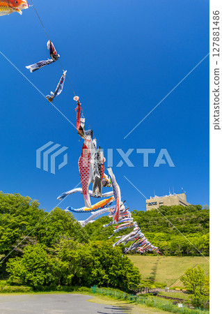 若宮公園：藍天下飄揚的鯉魚旗（神奈川縣厚木市） 127881486