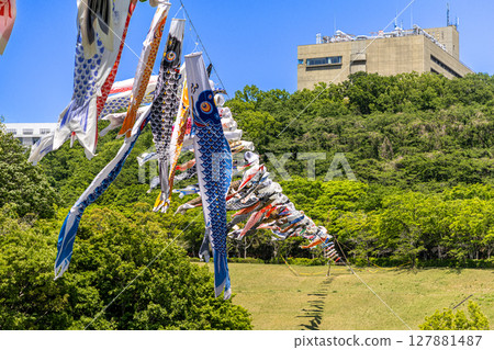 若宮公園：鯉魚旗在公園的藍天中飄舞（神奈川縣厚木市） 127881487