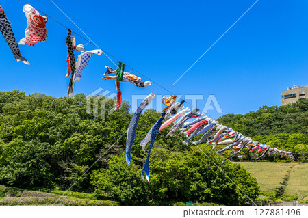 Wakamiya Park: Carp streamers swimming in the blue sky (Atsugi City, Kanagawa Prefecture) 127881496