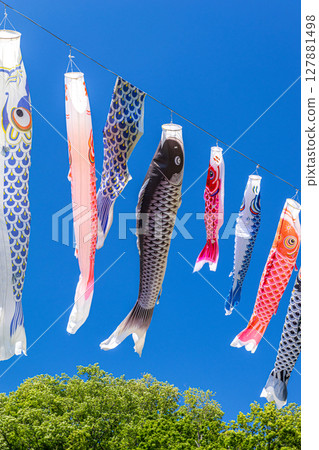 鯉魚stream在藍藍的天空中游泳 127881498