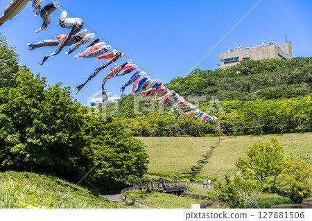 Wakamiya Park: Carp streamers swimming in the blue sky (Atsugi City, Kanagawa Prefecture) Wakamiya Park: Carp streamers swimming in the blue sky (Atsugi City, Kanagawa Prefecture) 127881506