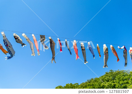 Wakamiya Park: Carp streamers swimming in the blue sky (Atsugi City, Kanagawa Prefecture) 127881507