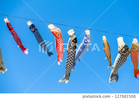 鯉魚stream在藍藍的天空中游泳 127881508