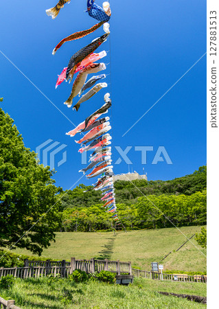 若宮公園：藍天下飄揚的鯉魚旗（神奈川縣厚木市） 127881513