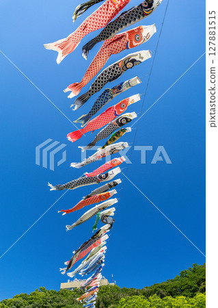 Wakamiya Park: Carp streamers swimming in the blue sky (Atsugi City, Kanagawa Prefecture) 127881515