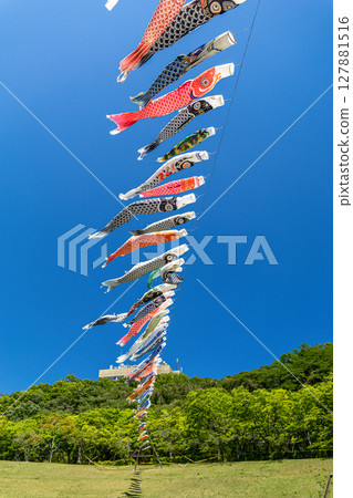 Wakamiya Park: Carp streamers swimming in the blue sky (Atsugi City, Kanagawa Prefecture) 127881516