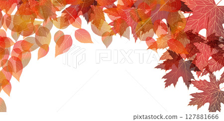  Autumn leaves maple autumn background 127881666