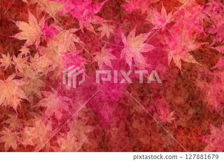  秋葉槭樹秋天背景 127881679