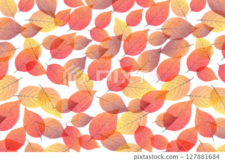  Autumn leaves maple autumn background 127881684
