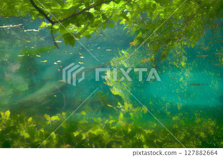 Maruike pond sparkling with emerald green light in the middle of the forest 127882664