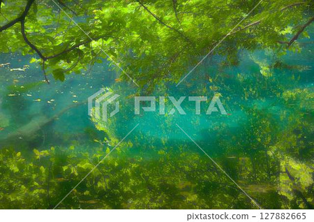 Maruike pond sparkling with emerald green light in the middle of the forest Maruike pond sparkling with emerald green light in the middle of the forest 127882665