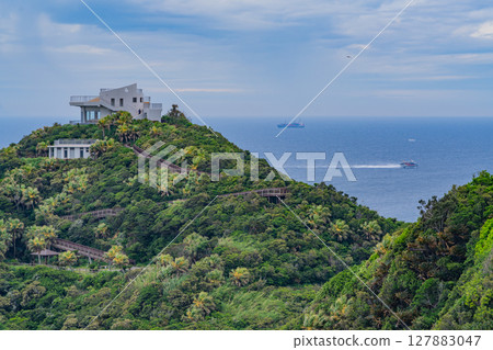 (Kagoshima Prefecture) Cape Sata Observatory and Ships Offshore 127883047