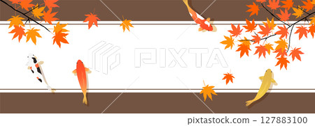 Maple and carp banner background_belt_brown 127883100