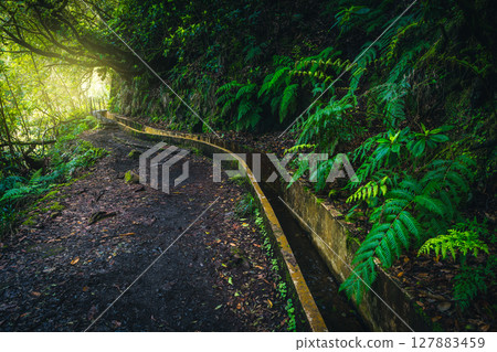 Stunning levada hiking trail near water canal, Madeira Island, Portugal Stunning levada hiking trail near water canal, Madeira Island, Portugal 127883459