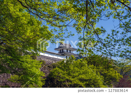 岐阜縣上八幡城櫻之丸角塔 127883614