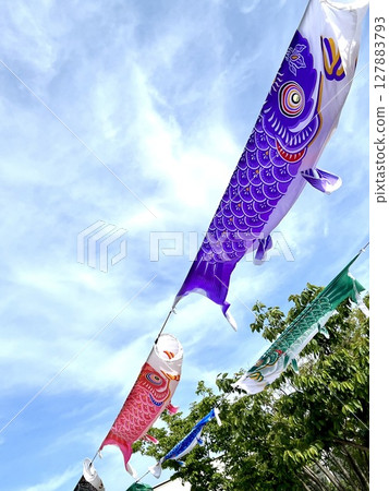 Carp streamers swimming in the sky 127883793