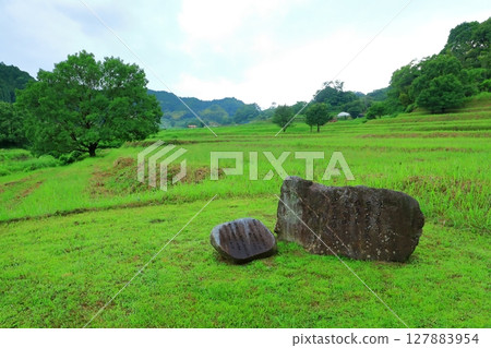 飛鳥稻淵宮遺址（國家指定史蹟） 127883954