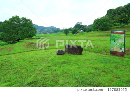 Asuka Inabuchi Palace Ruins (Nationally Designated Historic Site) 127883955