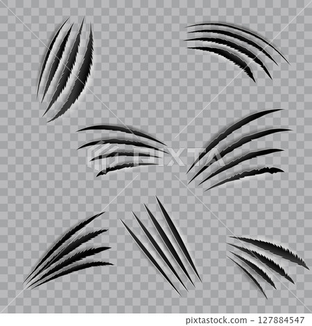 Realistic Monster Claw Scratches Animal Paw Marks Collection .Vector 127884547