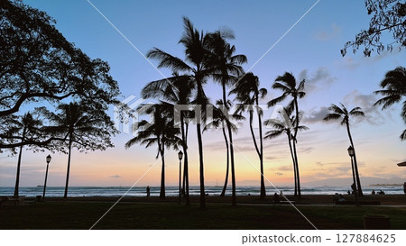 Coast with palm trees Coast with palm trees 127884625