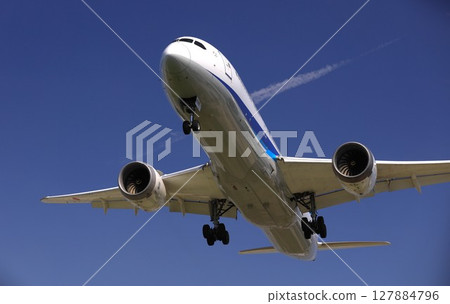 大阪國際機場（伊丹機場）起飛和降落 127884796