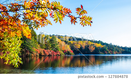 秋天的白駒池 秋天的白駒池 127884878