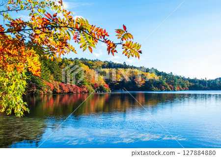 Shirakoma pond in autumn 127884880