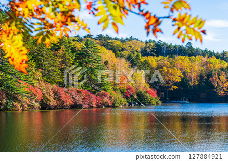 秋天的白駒池 127884921