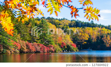 Shirakoma pond in autumn Shirakoma pond in autumn 127884922