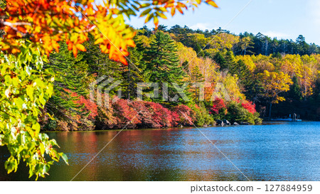 秋天的白駒池 秋天的白駒池 127884959