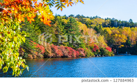 Shirakoma pond in autumn 127884963