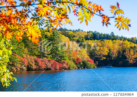 秋天的白駒池 127884964