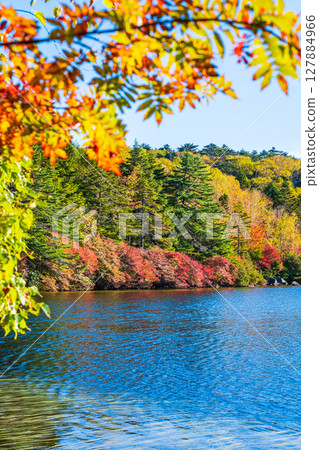 Shirakoma pond in autumn Shirakoma pond in autumn 127884966