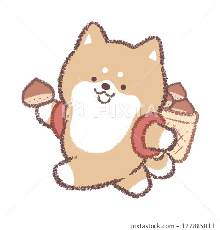 柴犬採摘栗子 127885011