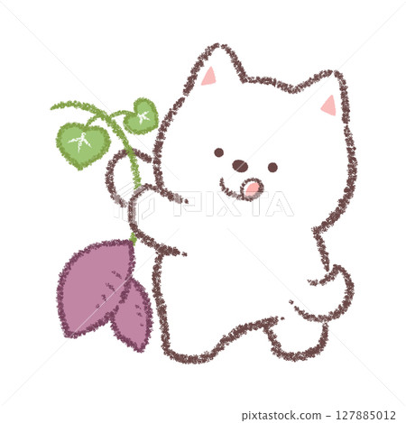 White Shiba Inu digging potatoes 127885012